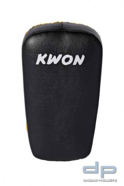 Arm Mitt Muay Thai