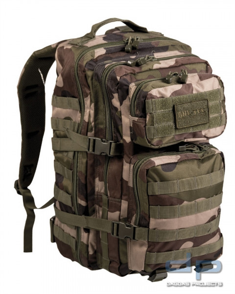 US ASSAULT PACK LG CCE VPE 2
