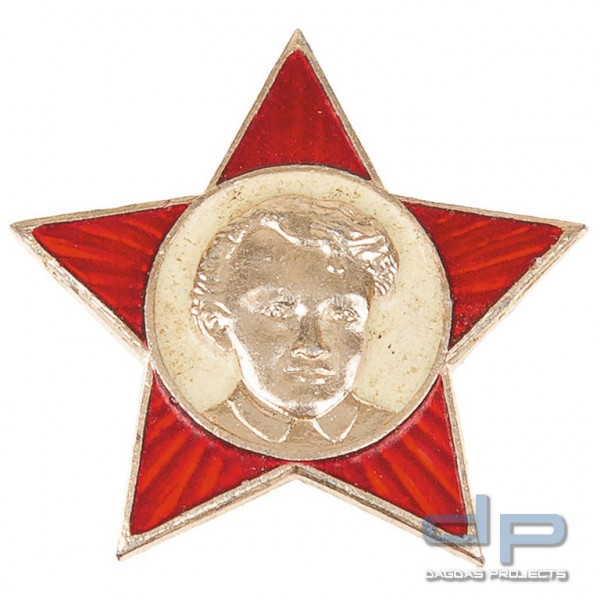 Russisches Metallabzeichen, neuwertig VPE 10