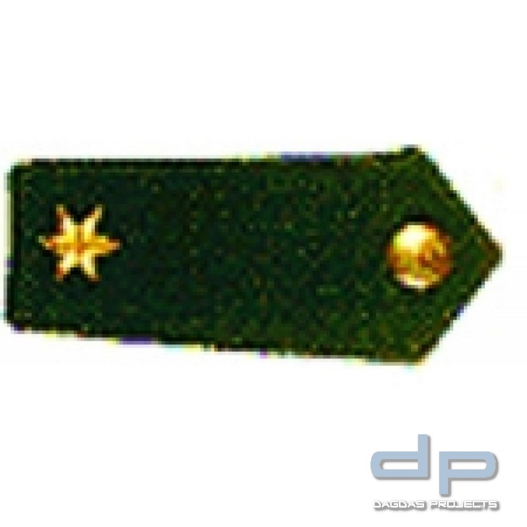 170 Schutzpolizei:Rangschlaufen 45 x 90 mm 6 Eichenlaub 3 Sterne Gold 