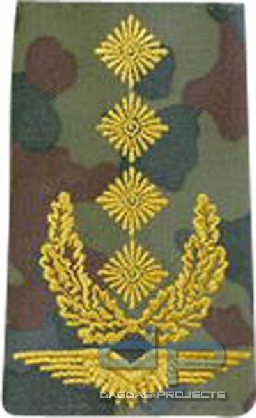 BW Rangschl. General Luftwaffe Tarn/Gold