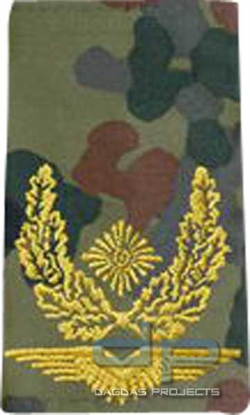 BW Rangschl. Brigadegeneral LW Tarn/Gold
