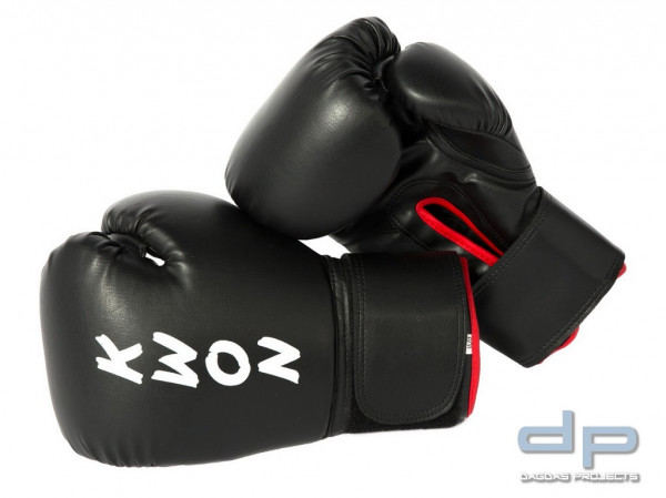 Boxhandschuhe Training in Schwarz/Rot